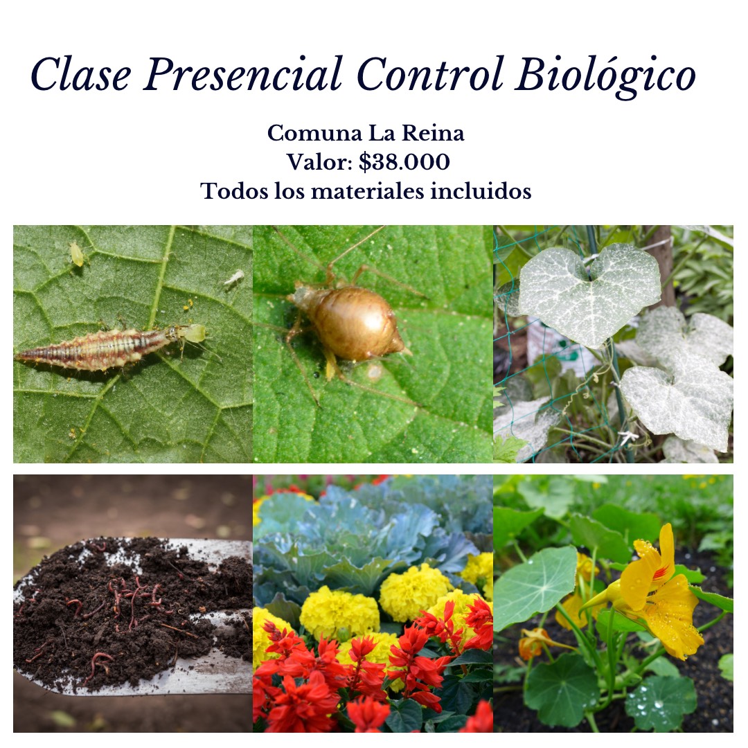 Clase Presencial Control Biologico Huertorganico