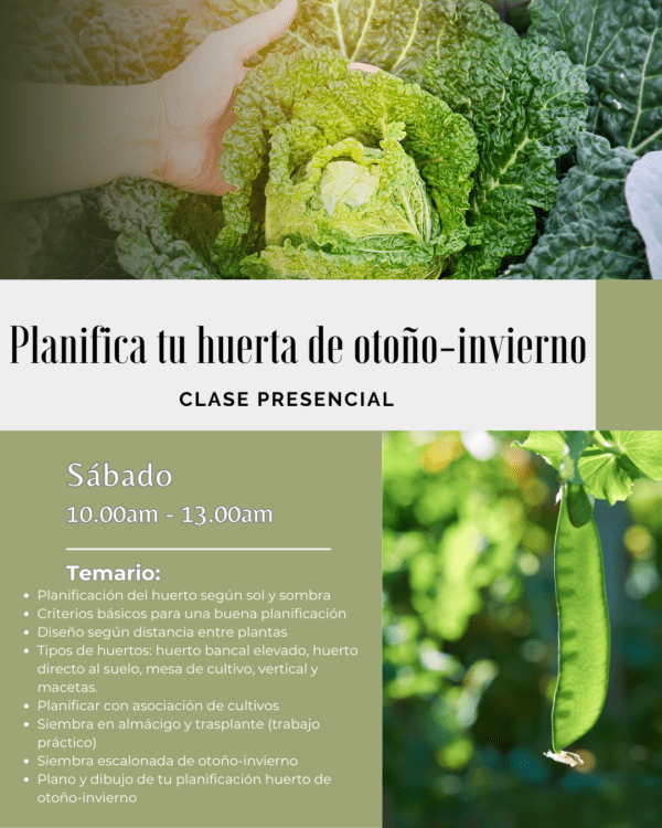 Clase presencial Planifica tu huerto de otoño-invierno