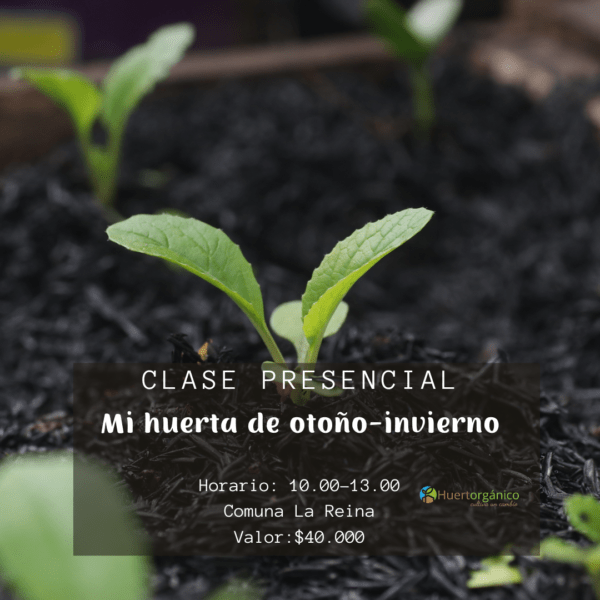 Clase presencial Huerta otoño invierno